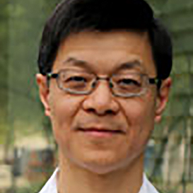 Steven Low