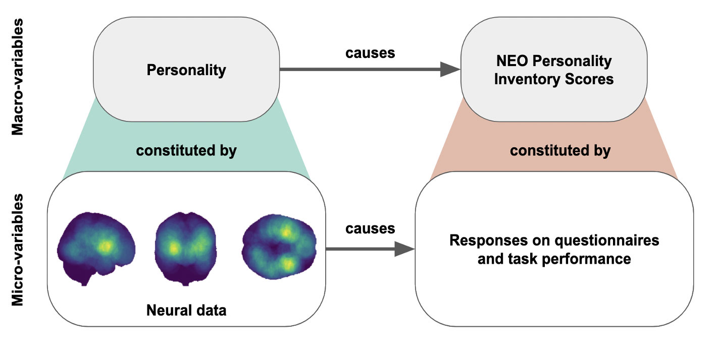 causes diagram