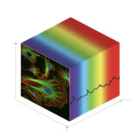 Making WISER Wiser: 
Extending the Workbench for Imaging Spectroscopy Exploration and Research